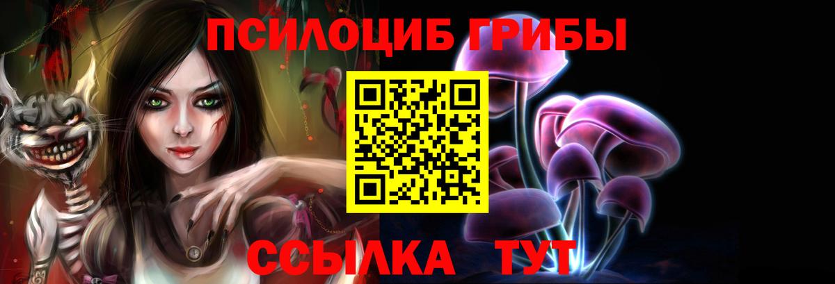 Будённовск  Псилоцибиновые грибы мицелий  Вход с VPN  Псилоцибиновые грибы мухоморы 